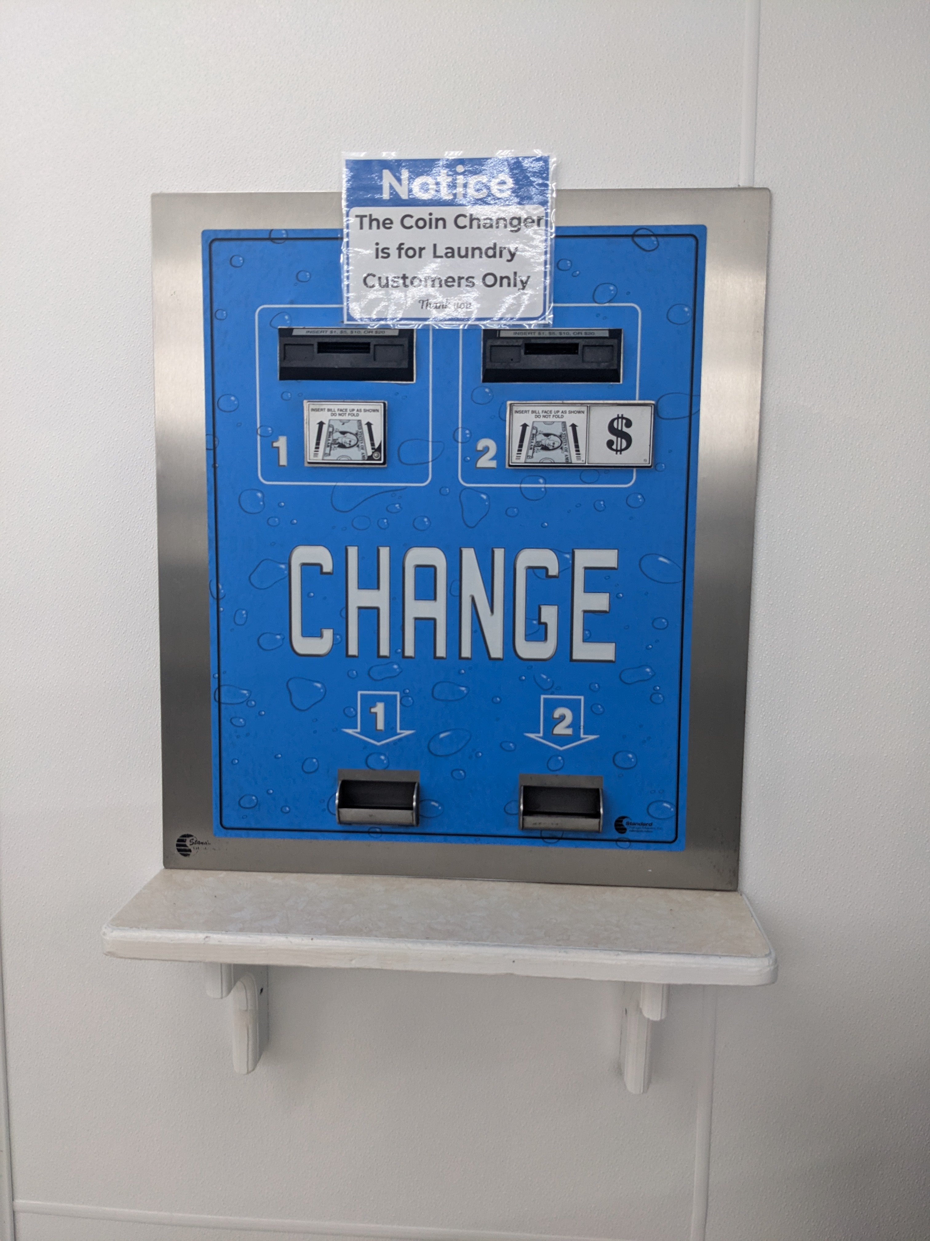 PXL 20241008 081237754